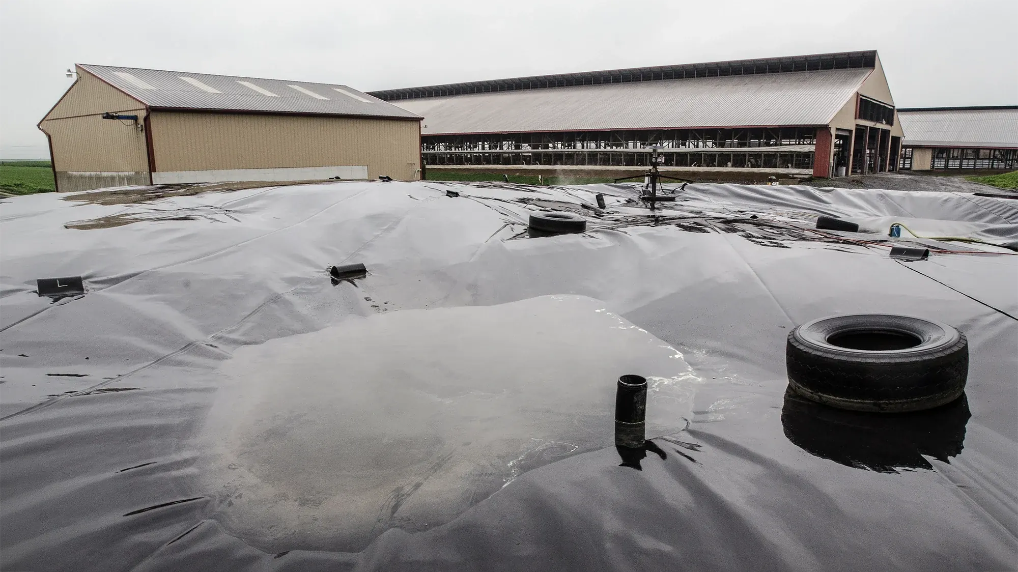 Local biodigester installation