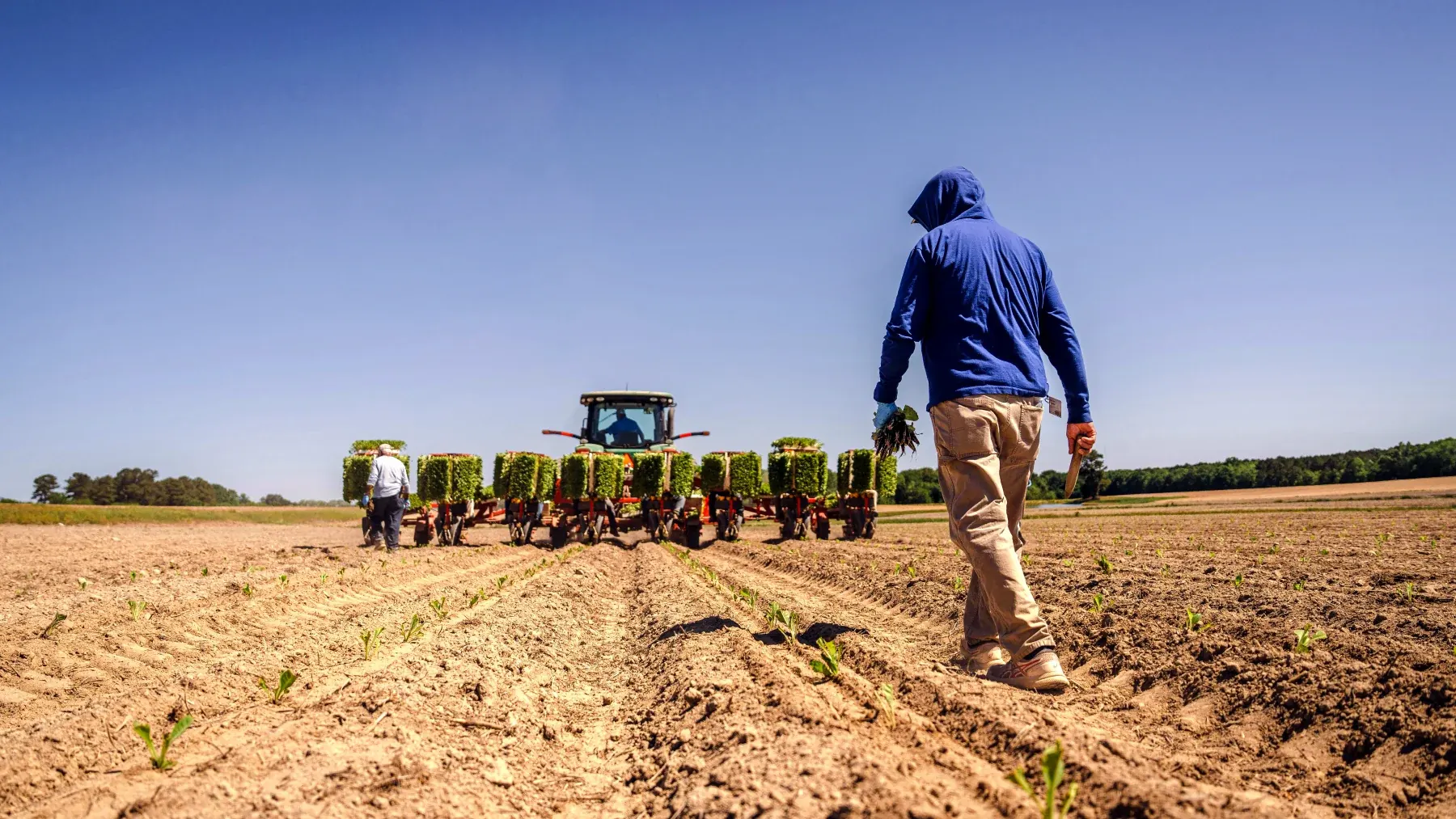 Agricultural workers in eastern North Carolina