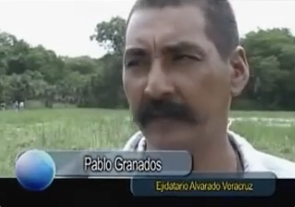 Video Image
