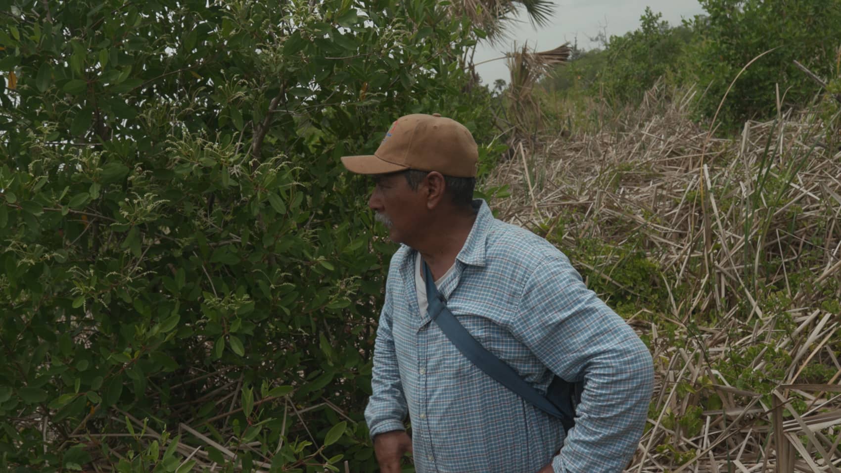 Video Image