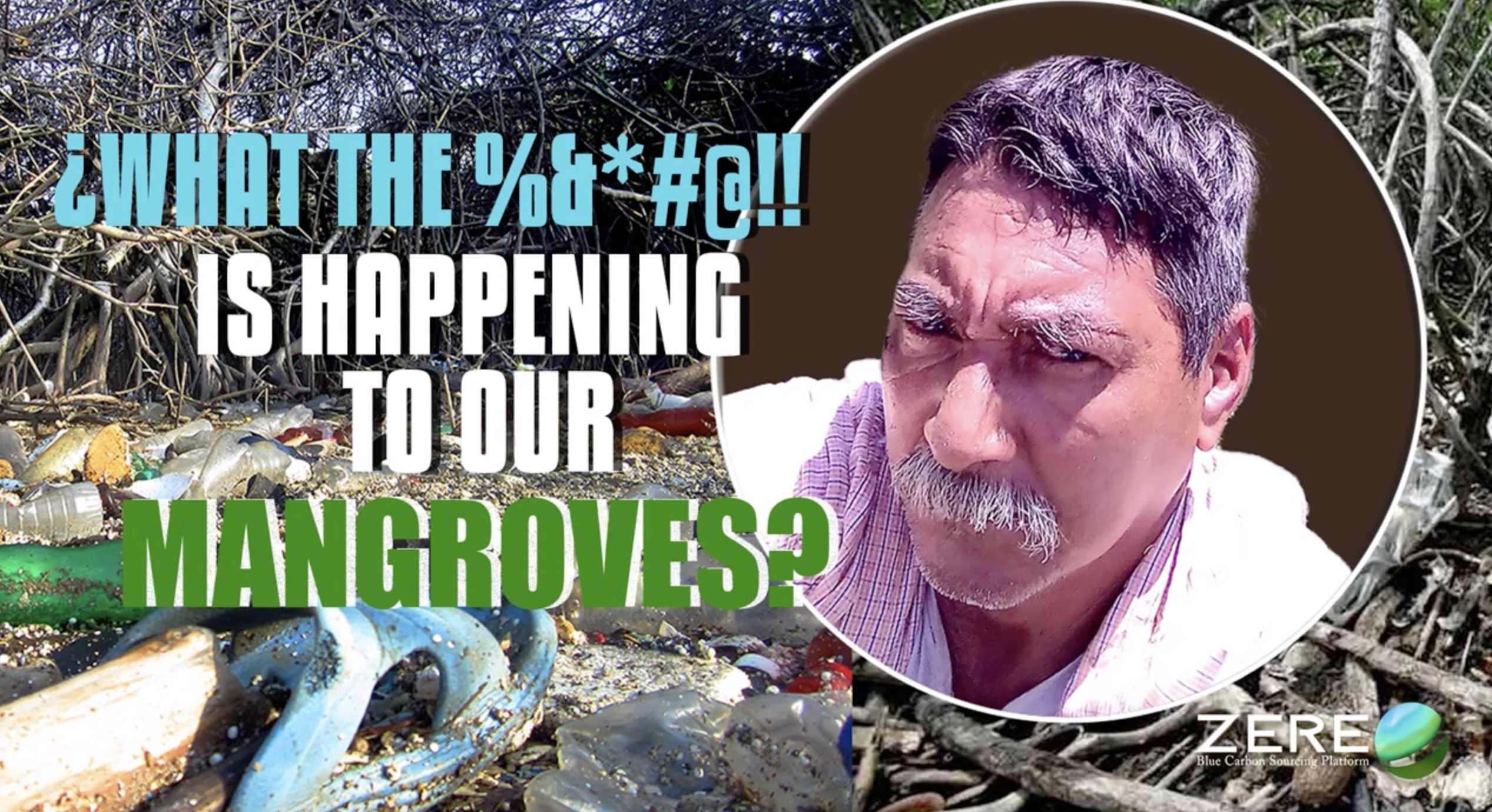 Video Image