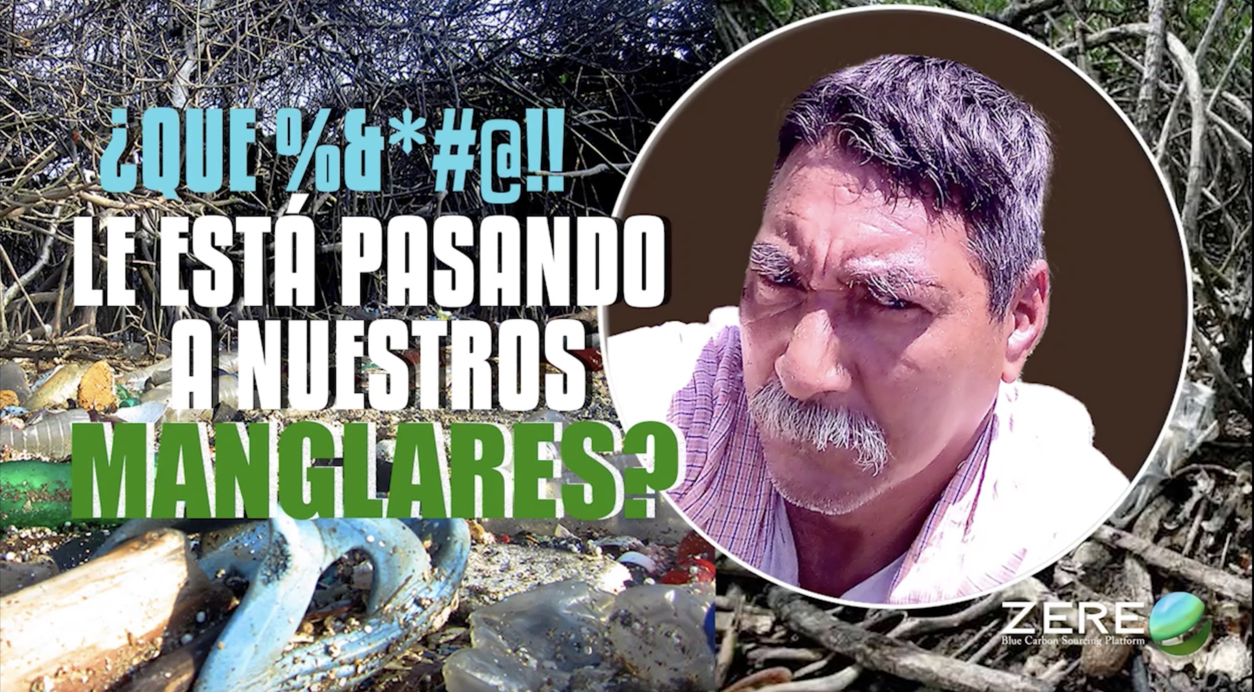 Video Image